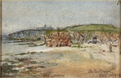 Baia di Marsden, 1877 da James Miller Brown